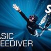 Become a Basic Freediver - Learn how to freedive today! The SSI Basic Freediver course is your first step into the peaceful, exhilarating world of freediving. During this entry-level program, you will learn how to freedive safely with a buddy in a pool/confined water up to a depth of five meters. Online training is combined with in-water practice sessions to give you all the skills and knowledge you need to be a confident freediver. Upon completing this program, you will earn your SSI Basic Freediver certification.