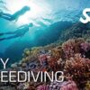 Try Freediving Course in Phuket