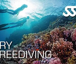 Try Freediving Course in Phuket